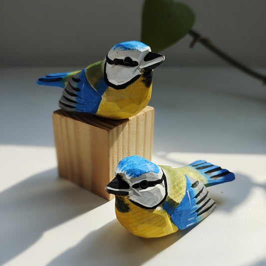 Sýkora modřinka 🕊️
