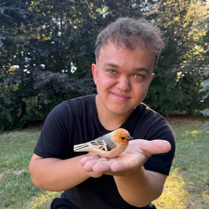 Vrabec 🐦