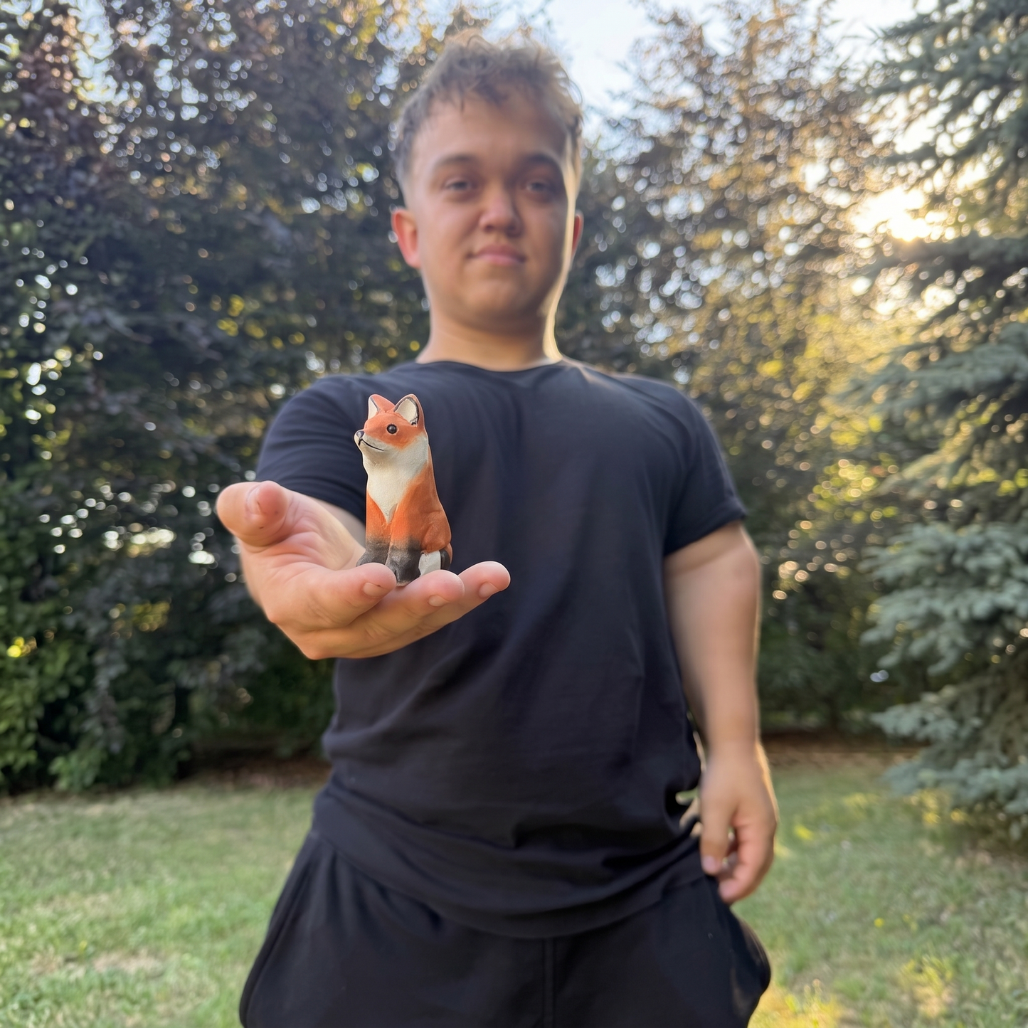 Liška🦊