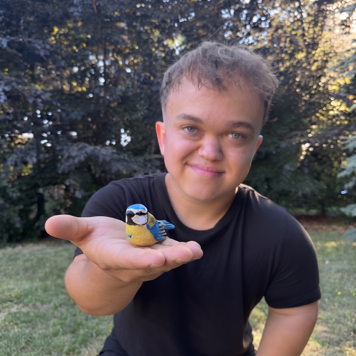 Sýkora modřinka 🕊️