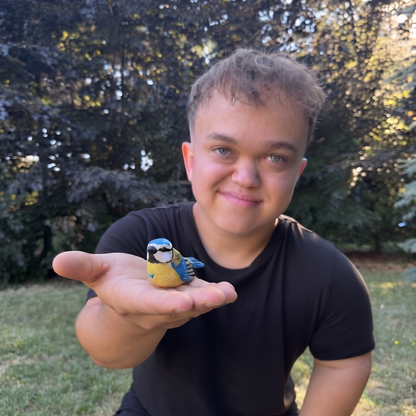 Sýkora modřinka 🕊️