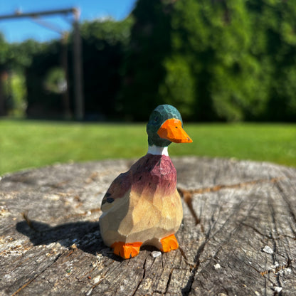 Kachna 🦆