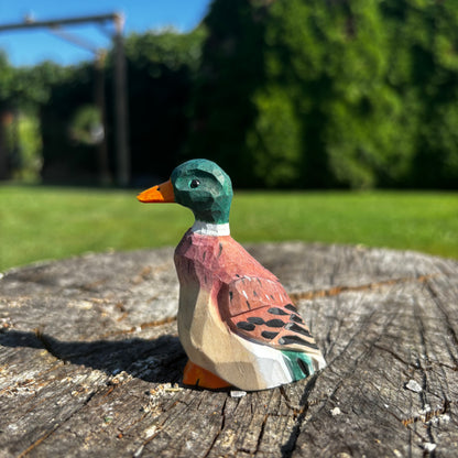 Kachna 🦆