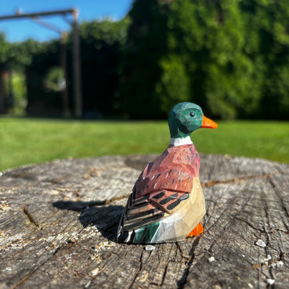 Kachna 🦆