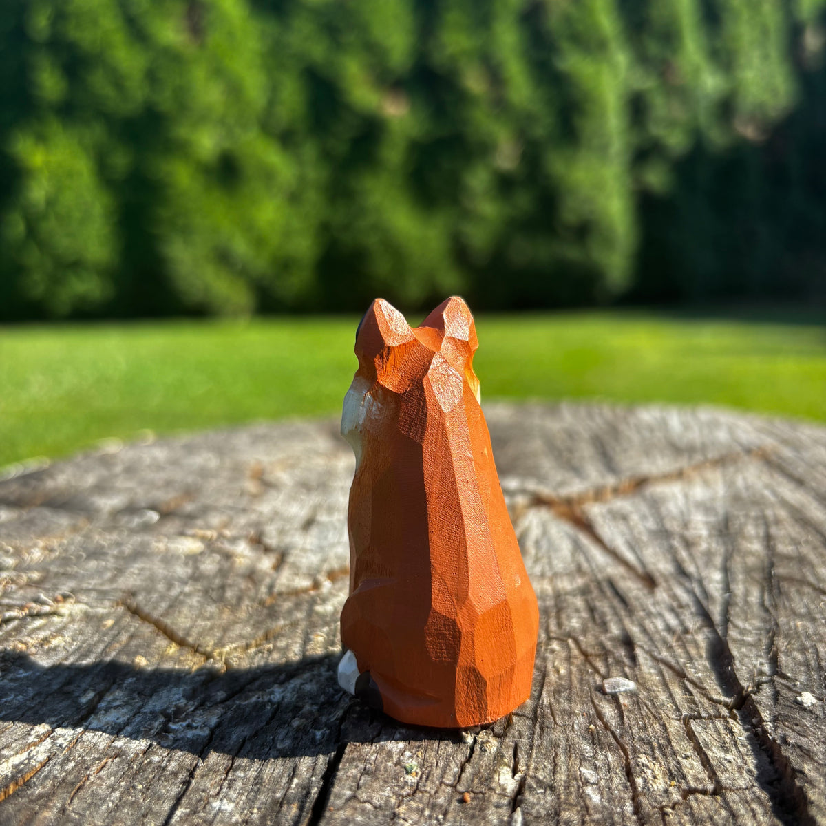 Liška🦊
