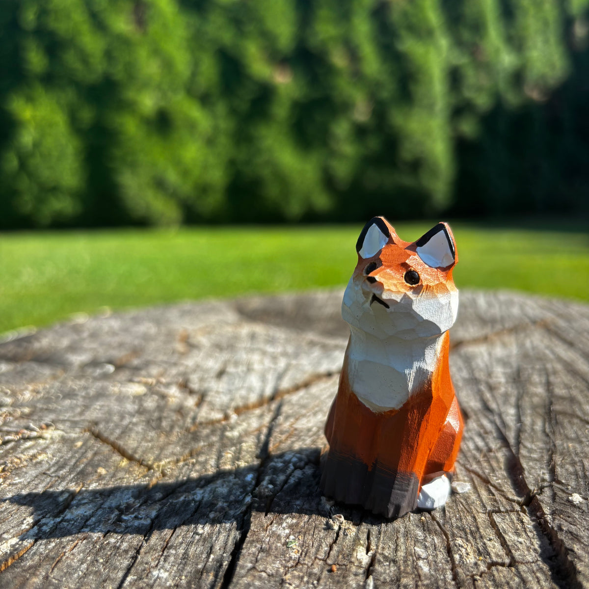 Liška🦊