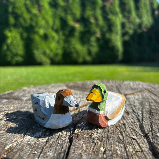 Kachny 🦆