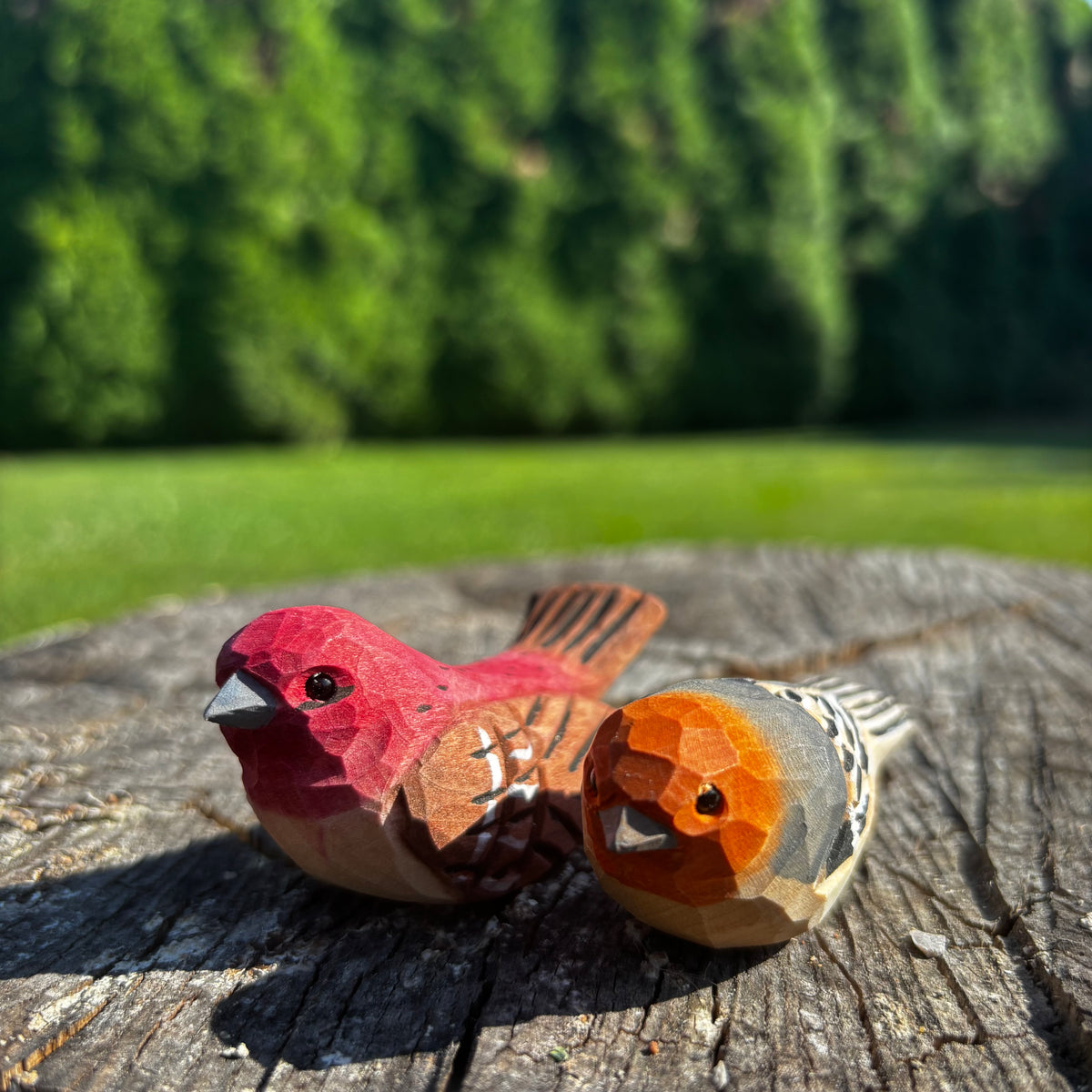 Vrabec 🐦