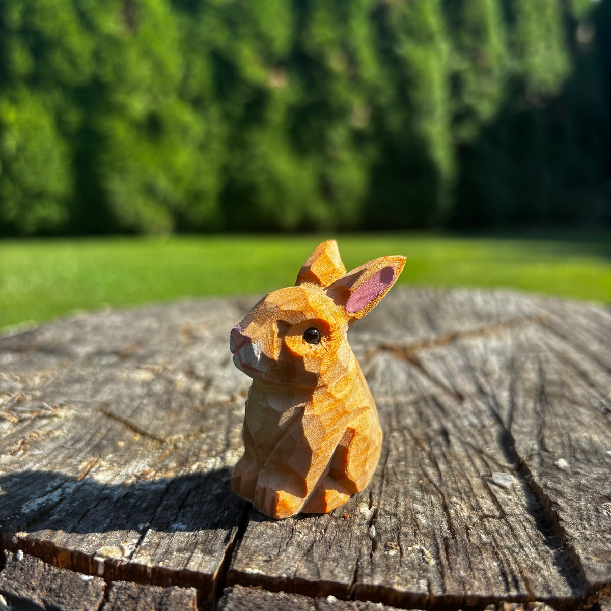 Zajíček 🐇