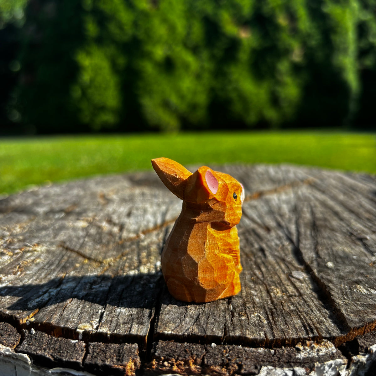 Zajíček 🐇