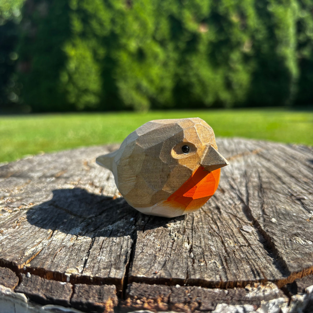 Červenka 🐦