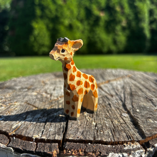 Žirafa 🦒