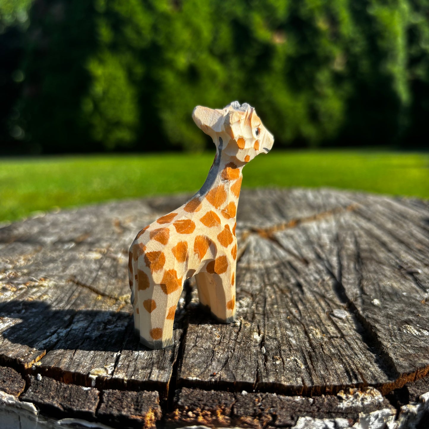 Žirafa 🦒