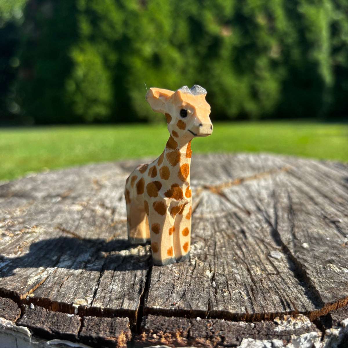 Žirafa 🦒