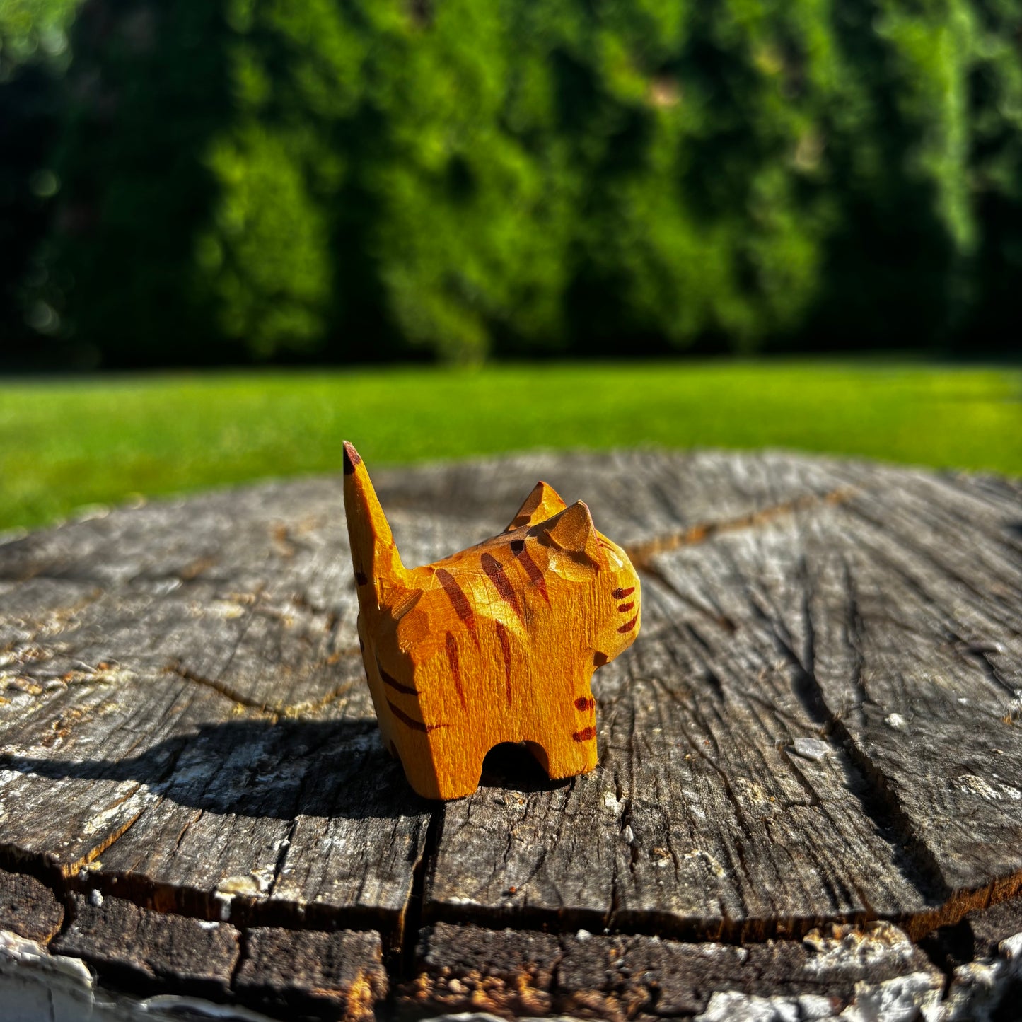 Kočička 🐈