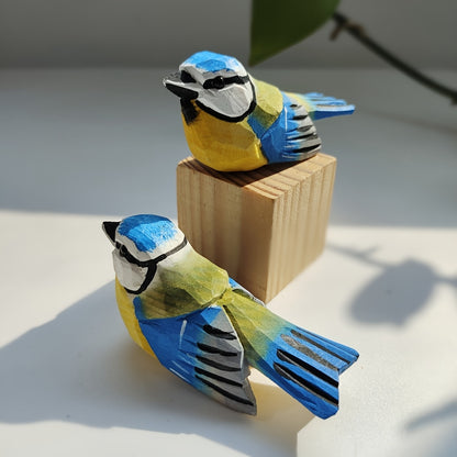 Sýkora modřinka 🕊️