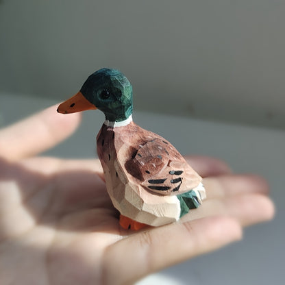 Kachna 🦆