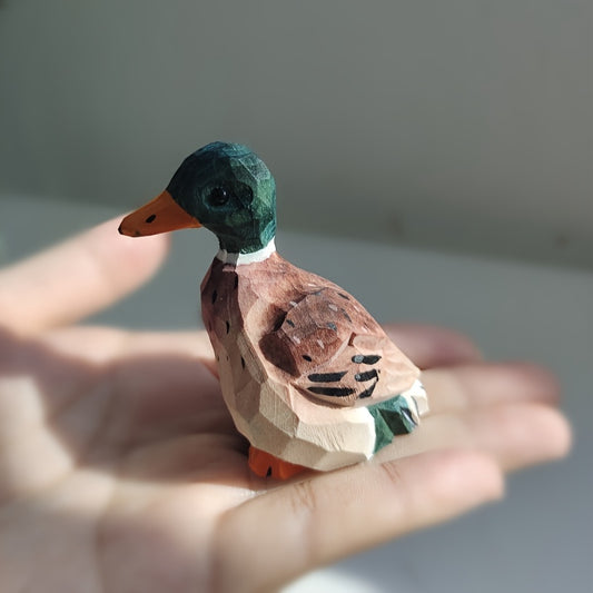 Kachna 🦆