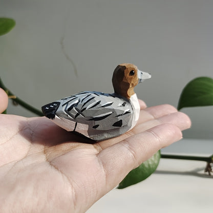 Kachny 🦆