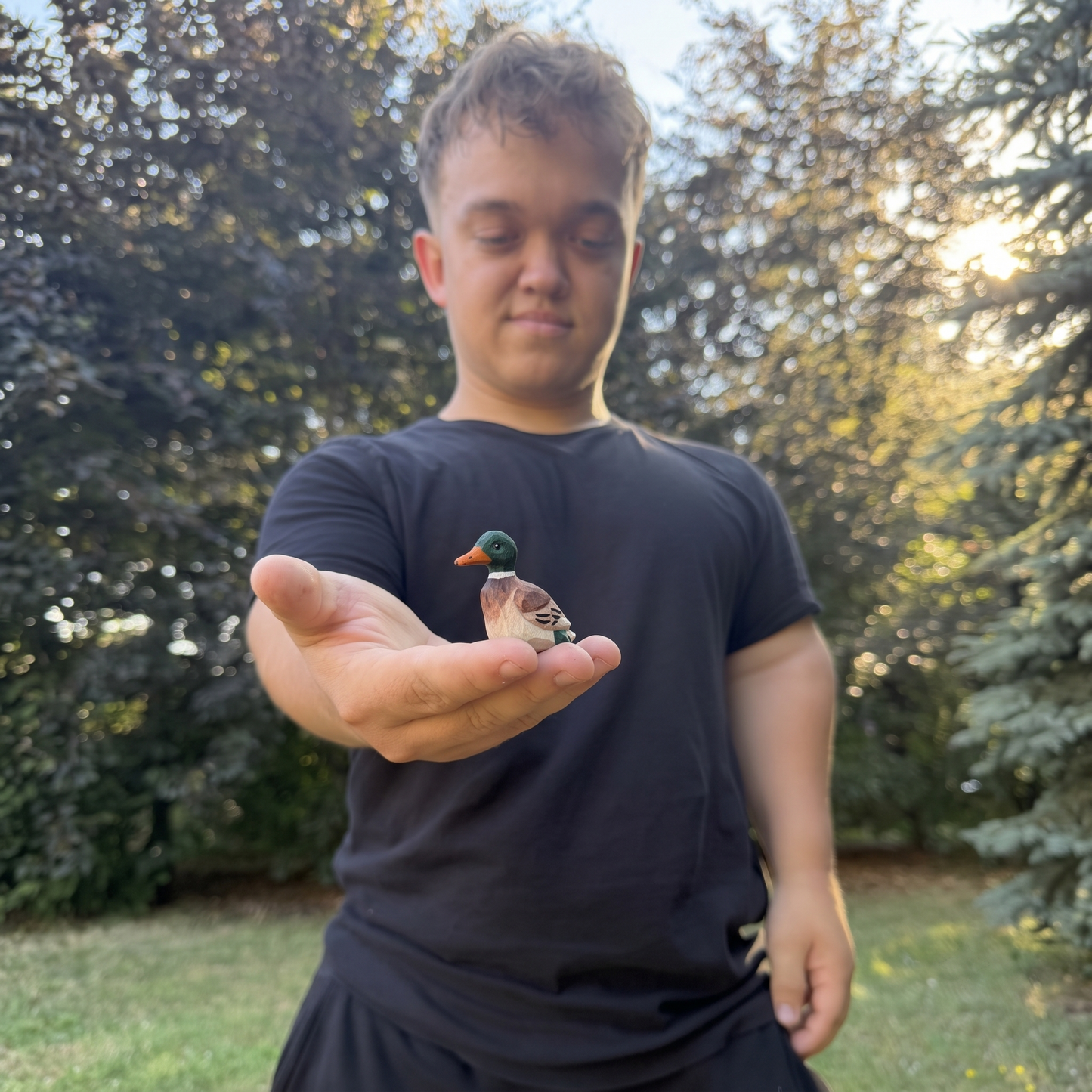 Kachna 🦆